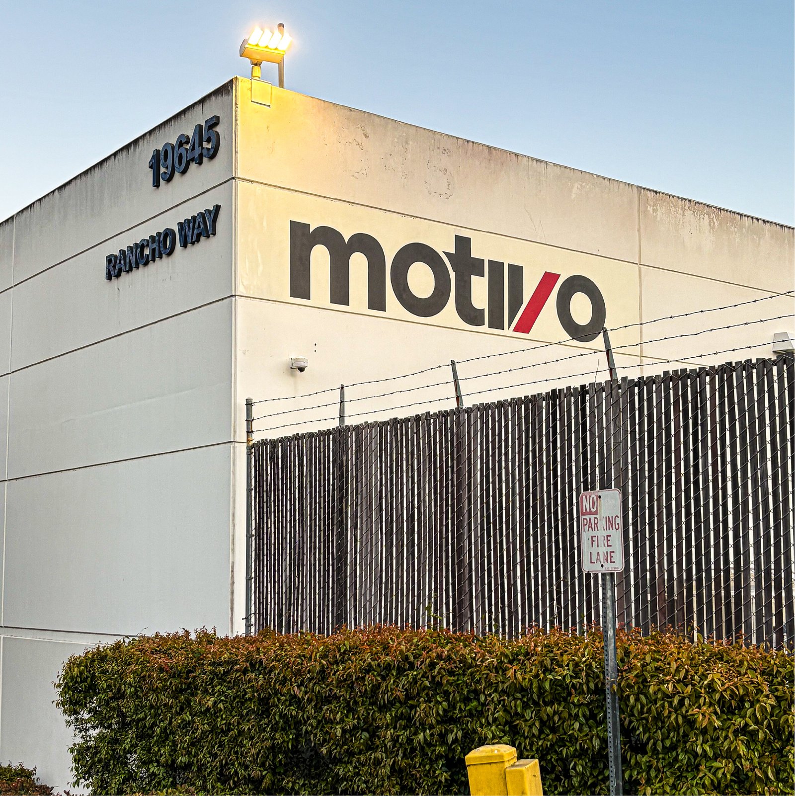 Motivo - Hand Painted Wall Mural